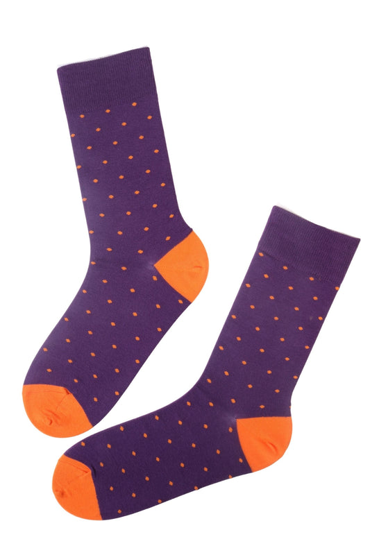 GORDON purple cotton socks for men