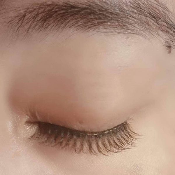 MLEN Soft Magnetic Eyelash Extensions - Taiwanese Camellia Style
